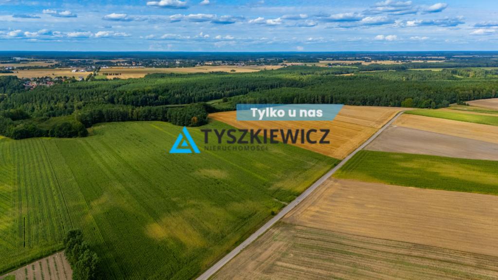 Działka Rolna- 2.0311 ha- Lisewo, gmina Przechlewo - zdjęcie 1