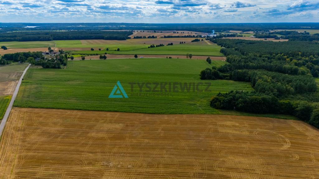 Działka Rolna- 2.0311 ha- Lisewo, gmina Przechlewo - zdjęcie 5