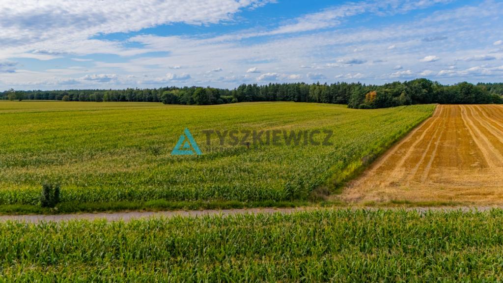 Działka Rolna- 2.0311 ha- Lisewo, gmina Przechlewo - zdjęcie 3