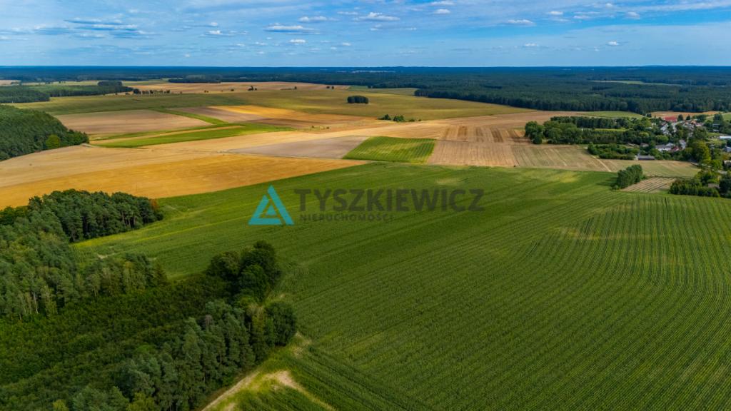Działka Rolna- 2.0311 ha- Lisewo, gmina Przechlewo - zdjęcie 8
