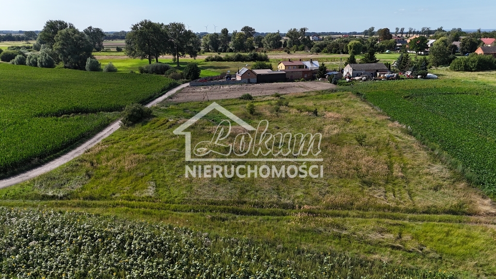 Działka budowlana 1206&nbsp;m², Rzepnowo - zdjęcie 8