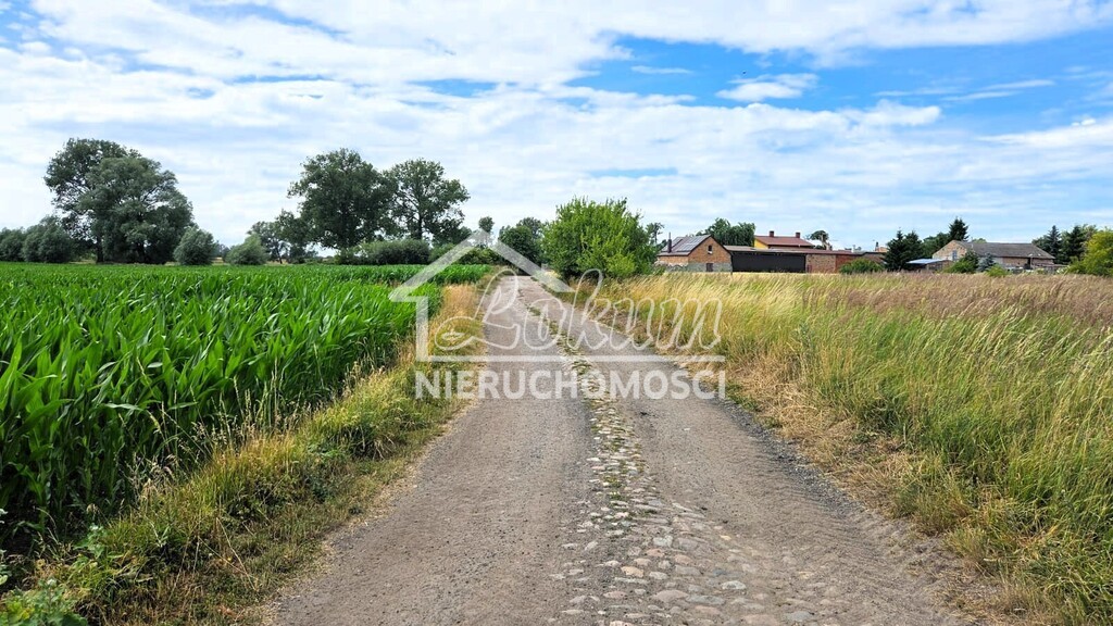 Działka budowlana 1206&nbsp;m², Rzepnowo - zdjęcie 12