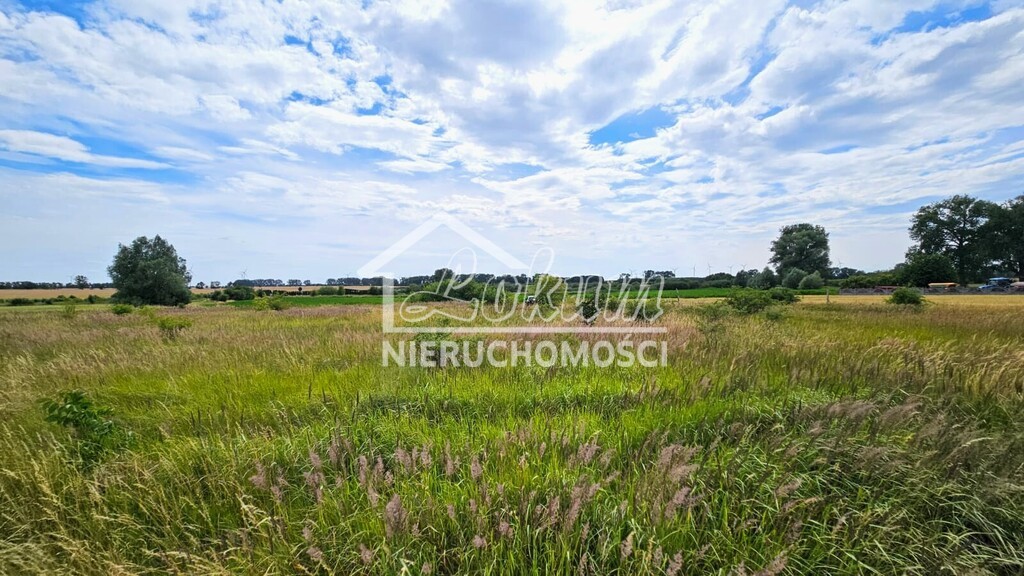 Działka budowlana 1206&nbsp;m², Rzepnowo - zdjęcie 16