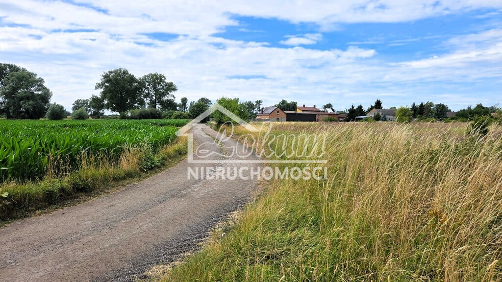 Działka budowlana 1206&nbsp;m², Rzepnowo - zdjęcie 1