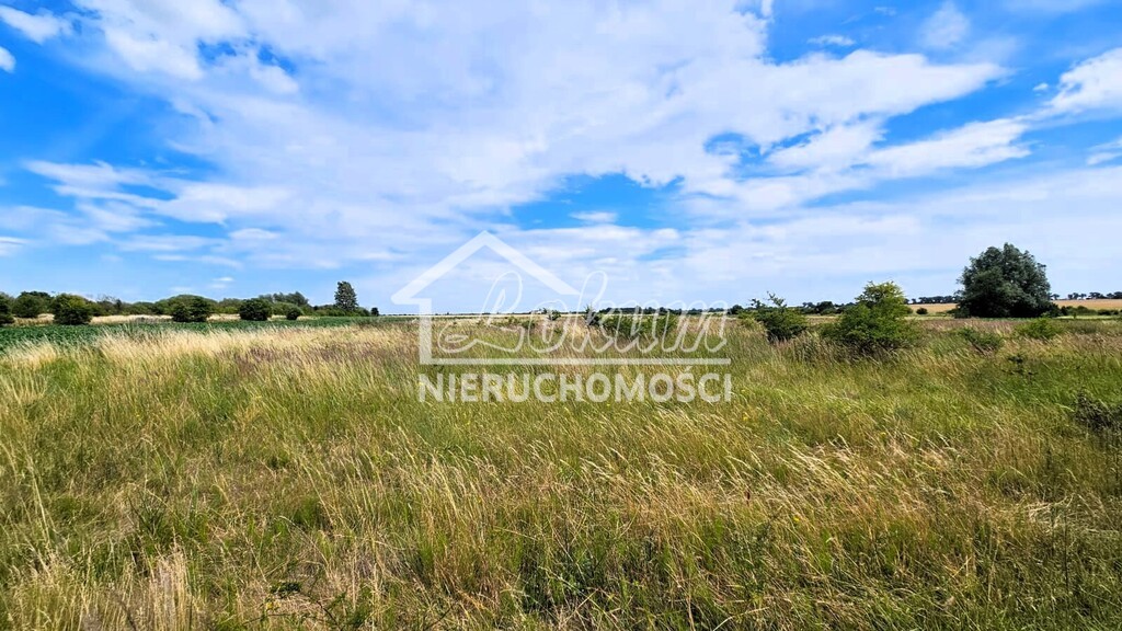 Działka budowlana 1206&nbsp;m², Rzepnowo - zdjęcie 15