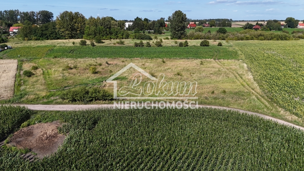 Działka budowlana 1206&nbsp;m², Rzepnowo - zdjęcie 5