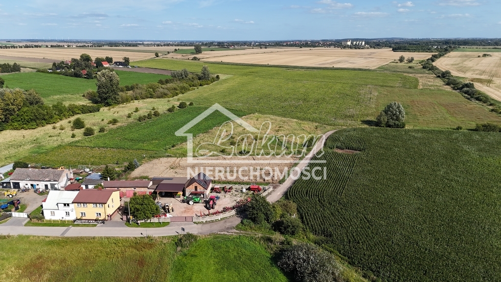 Działka budowlana 1206&nbsp;m², Rzepnowo - zdjęcie 11