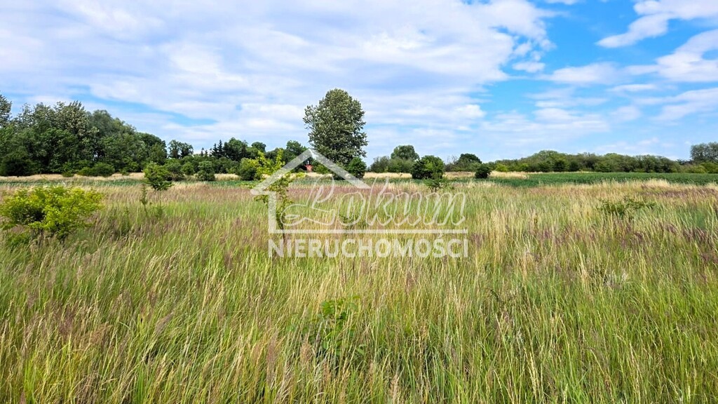 Działka budowlana 1206&nbsp;m², Rzepnowo - zdjęcie 14