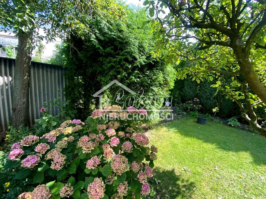 Mieszkanie 76,91&nbsp;m², Szczecin, Żelechowa, Róży Polnej - zdjęcie 14