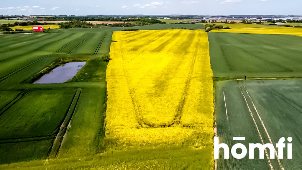 Działka rolna 4,94 ha, Łęgowo, Nowa - zdjęcie 2