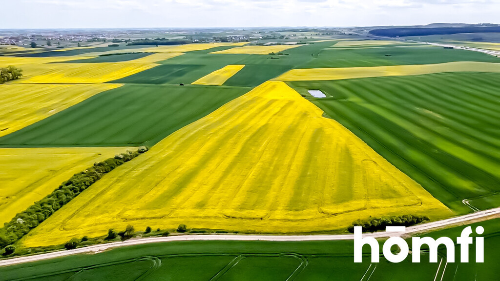 Działka rolna 4,94 ha, Łęgowo, Nowa - zdjęcie 1