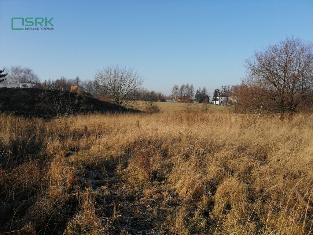 Działka inwestycyjna 6,01 ha, Gaszowice, Górnicza - zdjęcie 3