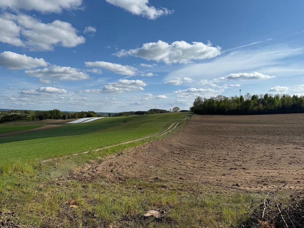 Działka budowlana 1149 m², Borzestowo - zdjęcie 7