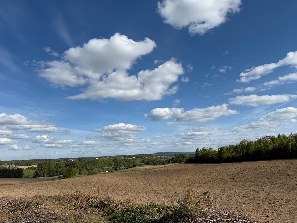 Działka budowlana 1149 m², Borzestowo - zdjęcie 6