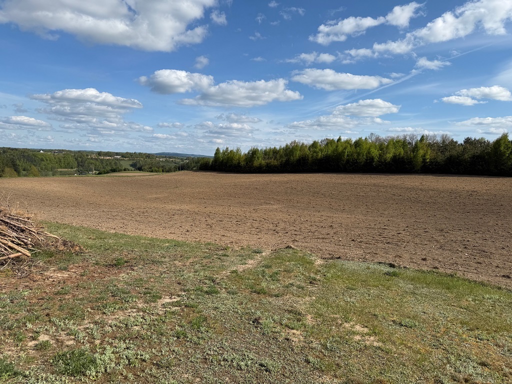 Działka budowlana 1149 m², Borzestowo - zdjęcie 5