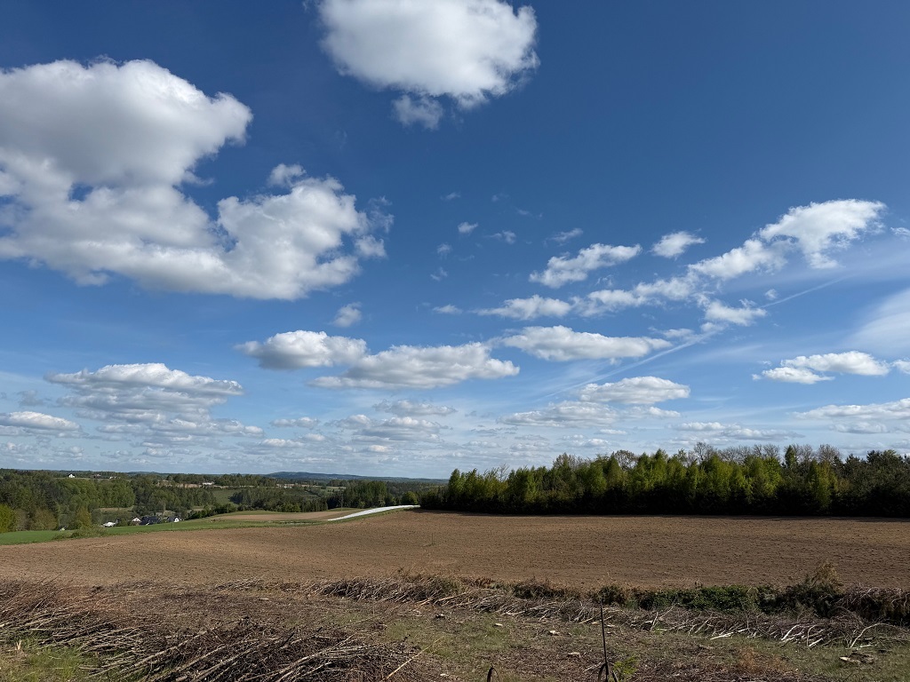 Działka budowlana 1149 m², Borzestowo - zdjęcie 2