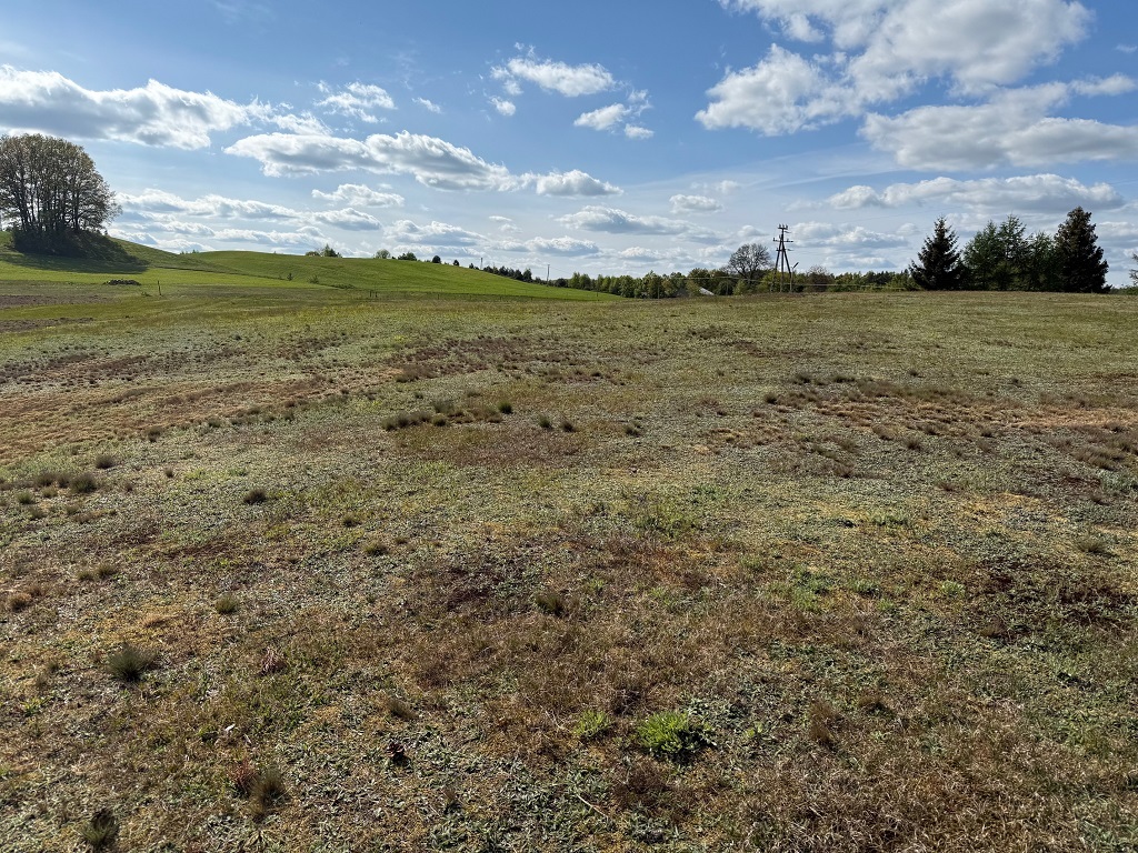 Działka budowlana 1149 m², Borzestowo - zdjęcie 4