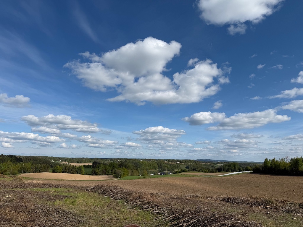 Działka budowlana 1149 m², Borzestowo - zdjęcie 3