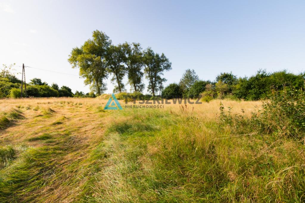 Działka pod zabudowę siedliskową - gmina Nowa Wieś - zdjęcie 13