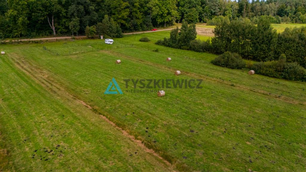 Ucieknij z miasta na wiejską działkę - zdjęcie 16