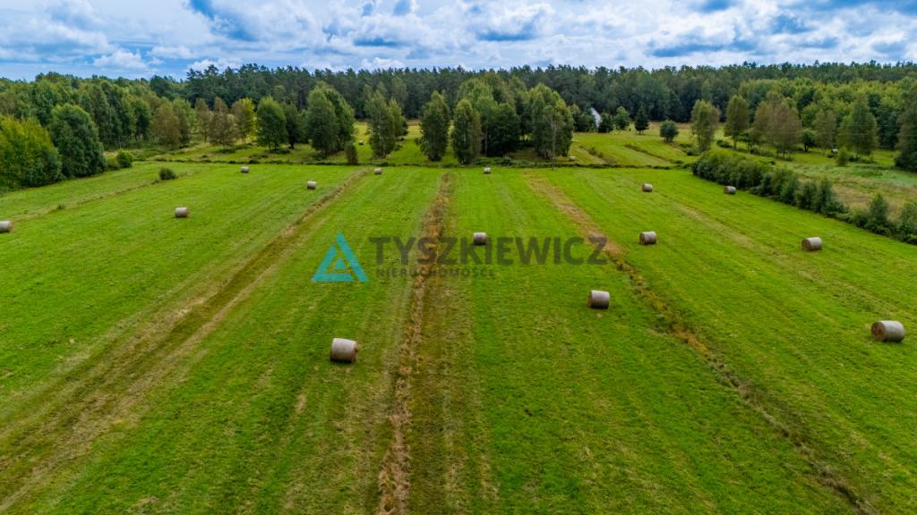 Ucieknij z miasta na wiejską działkę - zdjęcie 21