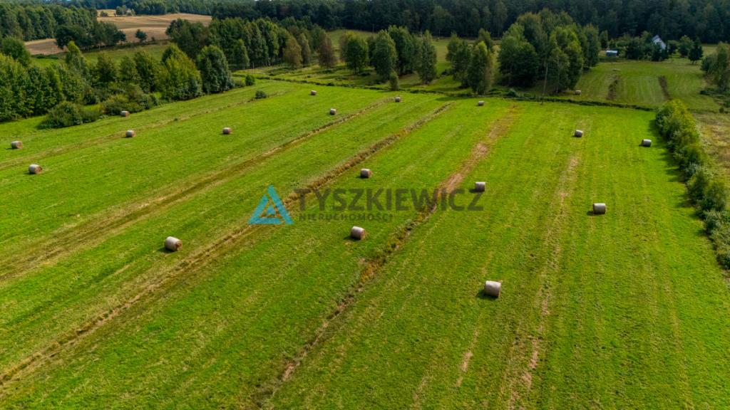 Ucieknij z miasta na wiejską działkę - zdjęcie 23