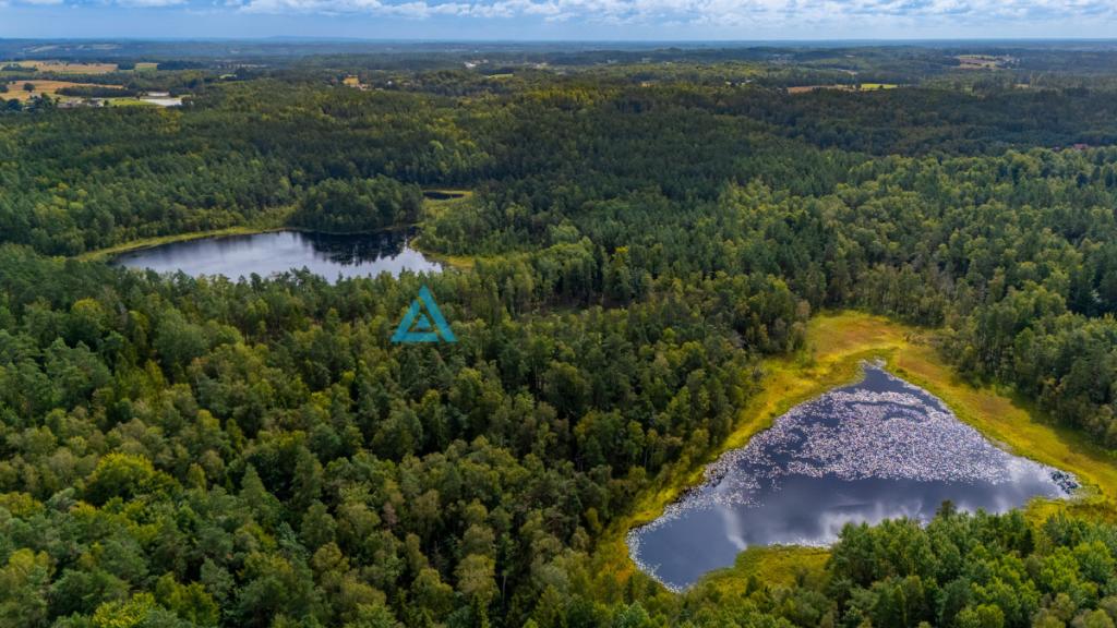 Ucieknij z miasta na wiejską działkę - zdjęcie 12