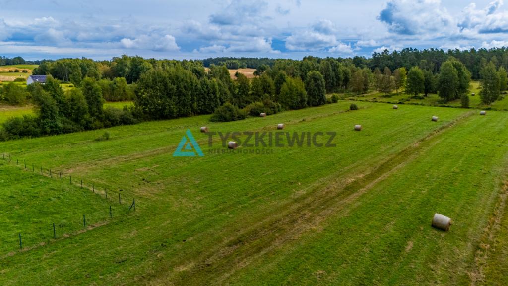 Ucieknij z miasta na wiejską działkę - zdjęcie 20