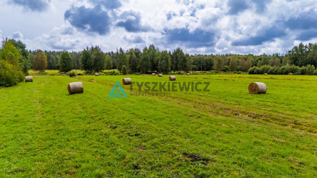Ucieknij z miasta na wiejską działkę - zdjęcie 19
