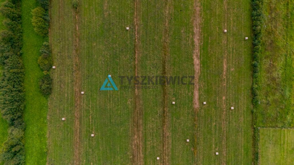 Ucieknij z miasta na wiejską działkę - zdjęcie 14