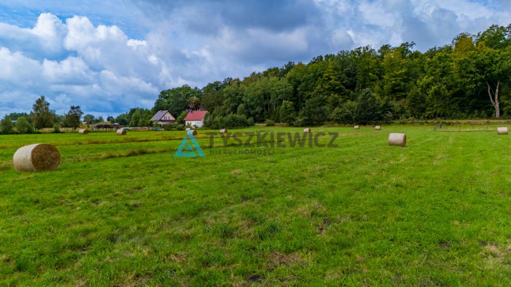 Ucieknij z miasta na wiejską działkę - zdjęcie 18