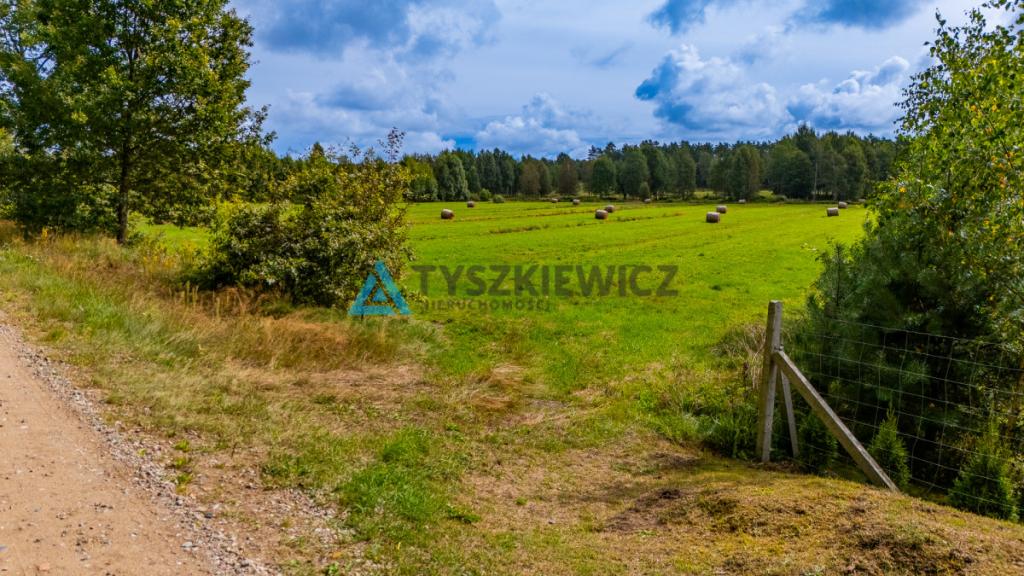 Ucieknij z miasta na wiejską działkę - zdjęcie 27