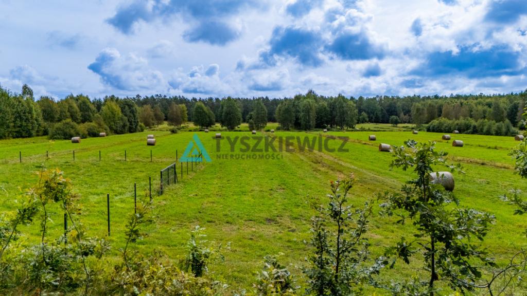 Ucieknij z miasta na wiejską działkę - zdjęcie 22