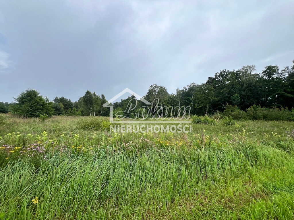Działka rekreacyjna 3566&nbsp;m², Storkowo - zdjęcie 6