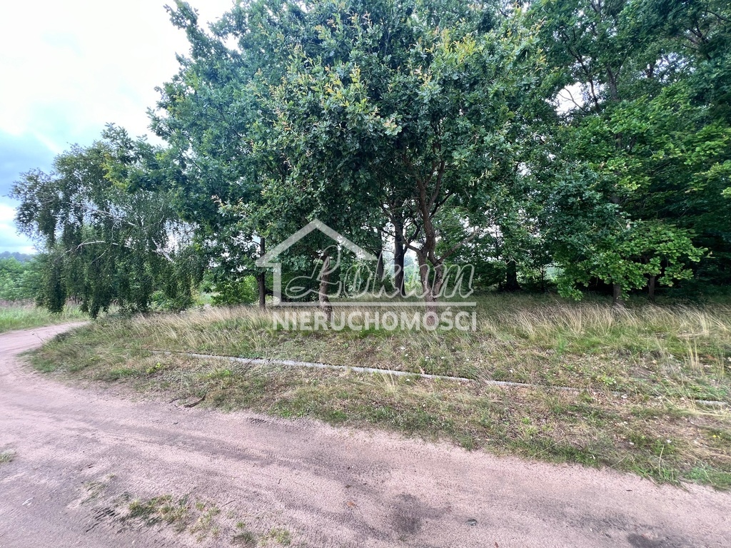 Działka rekreacyjna 3566&nbsp;m², Storkowo - zdjęcie 3