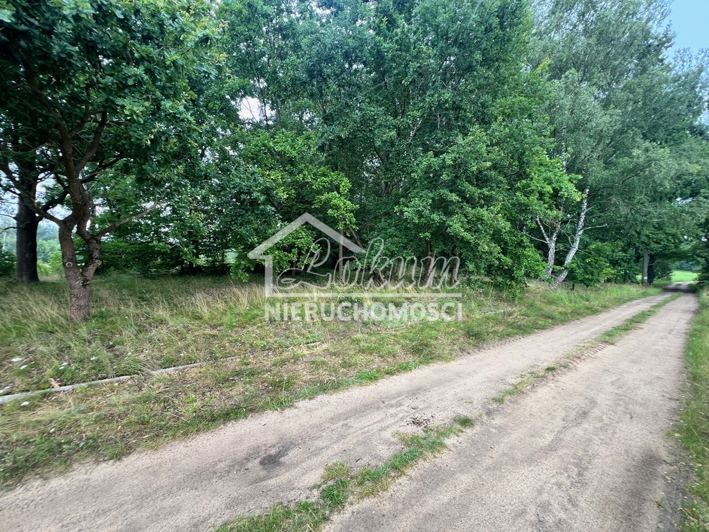 Działka rekreacyjna 3566&nbsp;m², Storkowo - zdjęcie 4