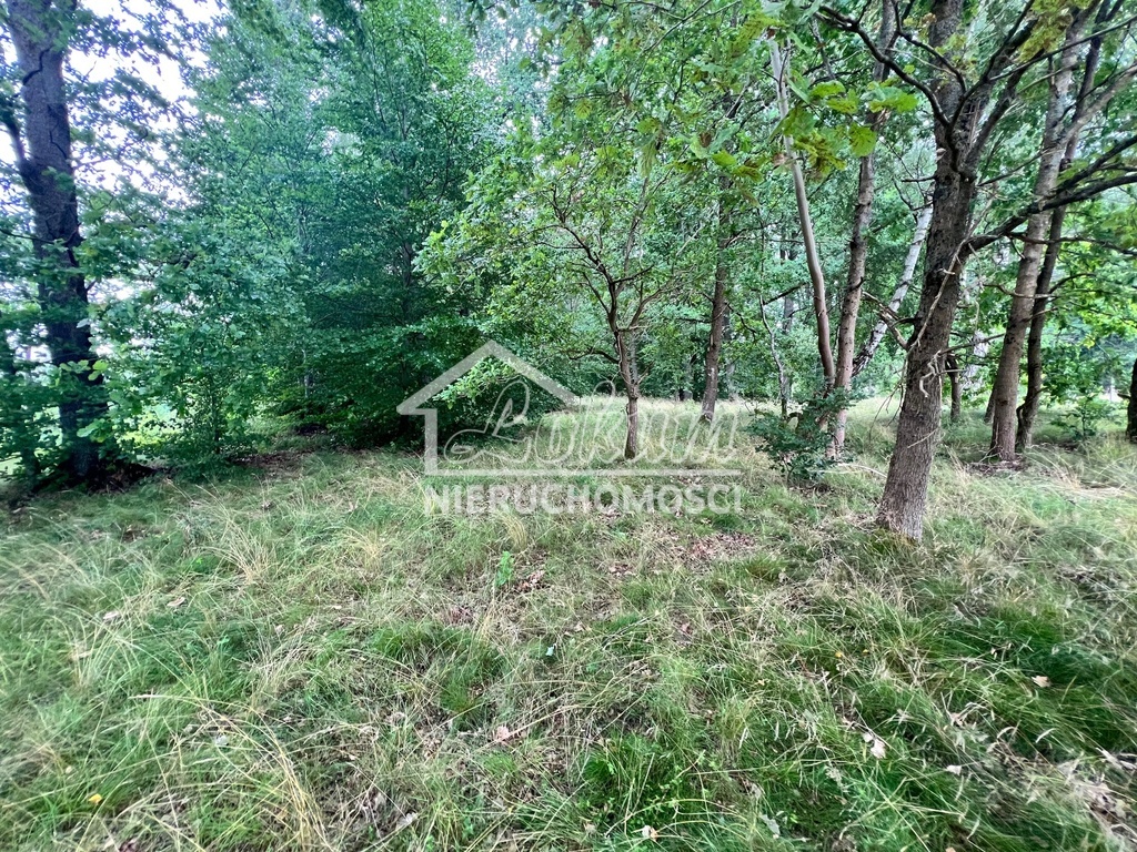 Działka rekreacyjna 3566&nbsp;m², Storkowo - zdjęcie 2
