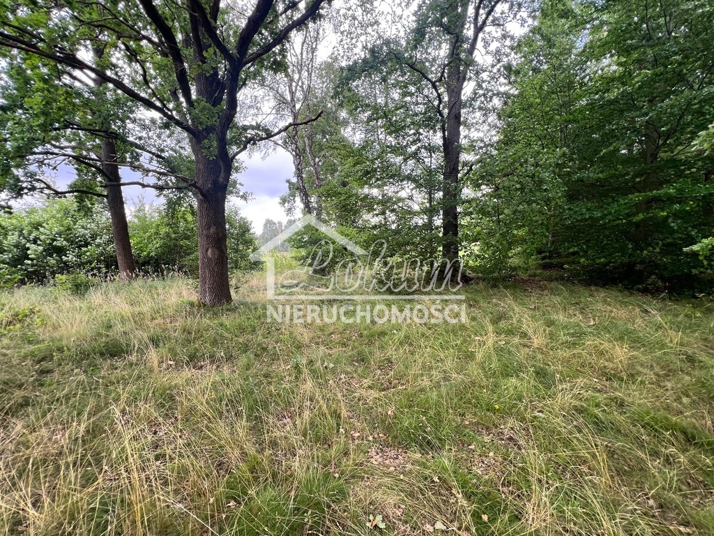 Działka rekreacyjna 3566&nbsp;m², Storkowo - zdjęcie 1