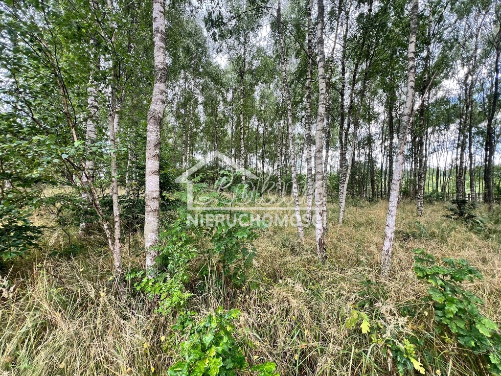 Działka budowlana 3412&nbsp;m², Storkowo - zdjęcie 1
