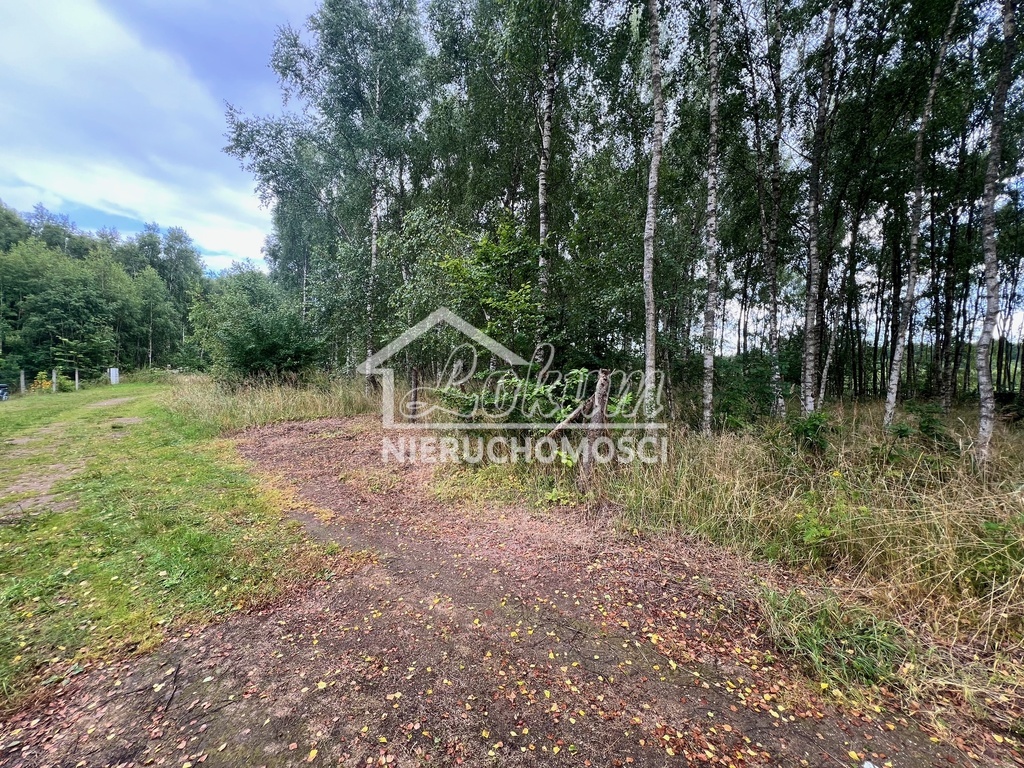 Działka budowlana 3412&nbsp;m², Storkowo - zdjęcie 2