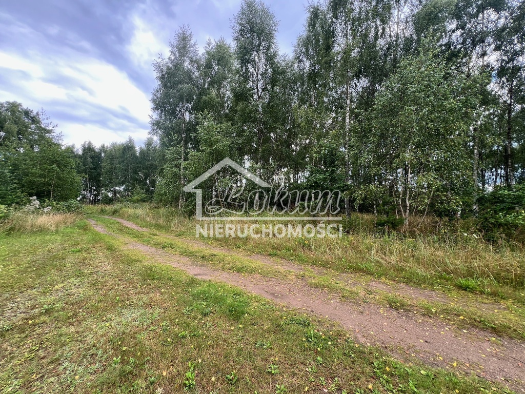 Działka budowlana 3412&nbsp;m², Storkowo - zdjęcie 4