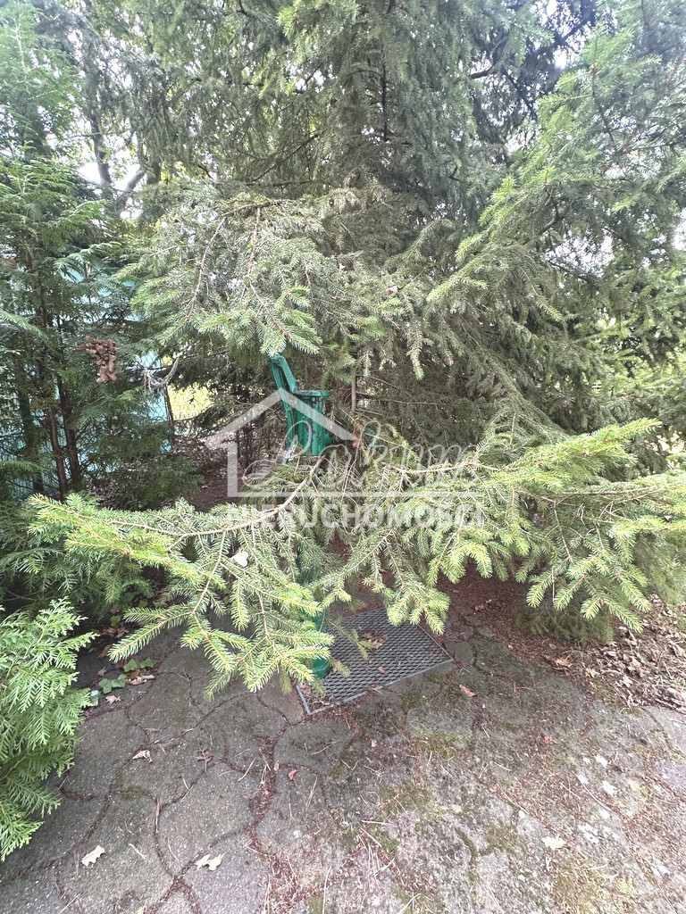 Działka rekreacyjna 593 m², Trzebież - zdjęcie 17