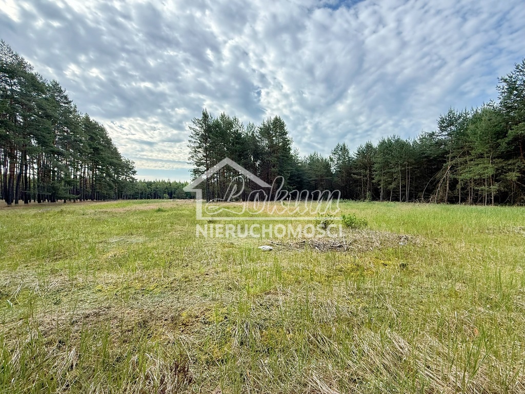 Działka rolna 2,60&nbsp;ha, Sowno - zdjęcie 3