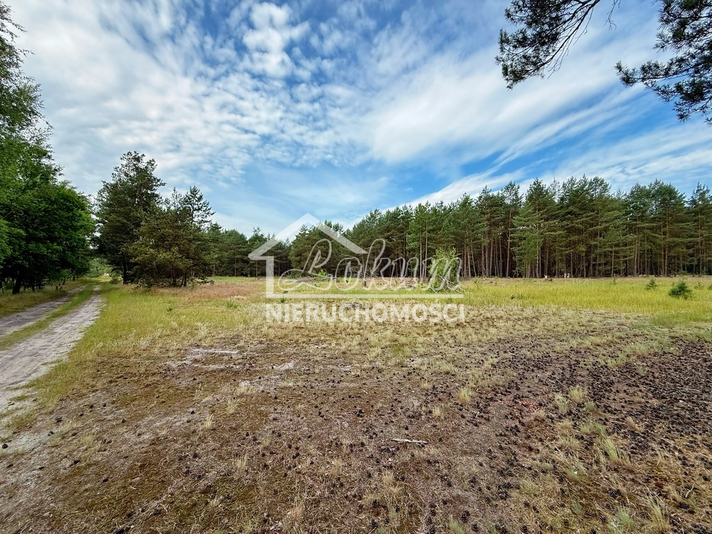 Działka rolna 2,60&nbsp;ha, Sowno - zdjęcie 1