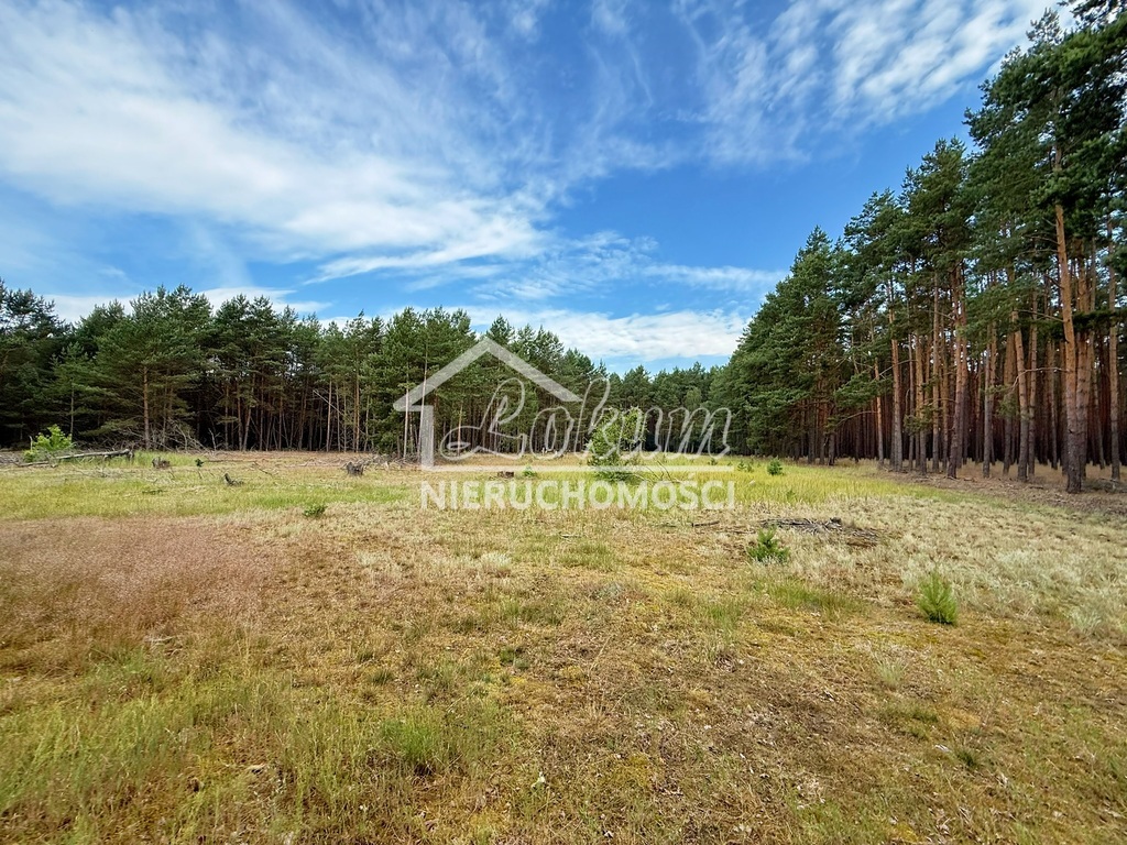 Działka rolna 2,60&nbsp;ha, Sowno - zdjęcie 2