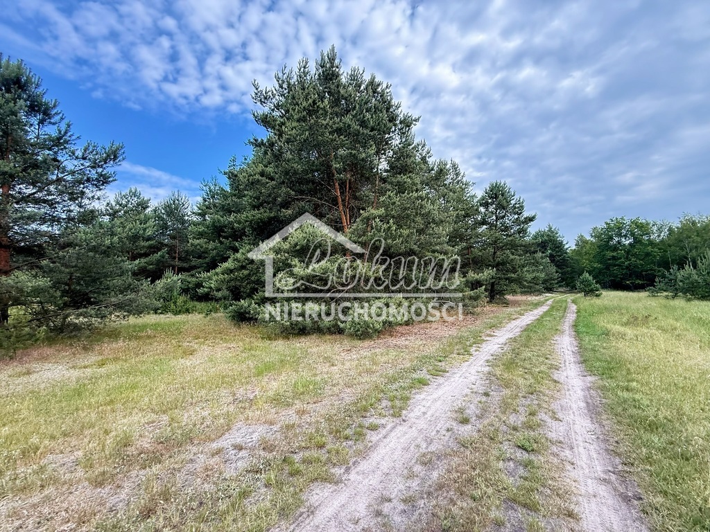 Działka rolna 2,60&nbsp;ha, Sowno - zdjęcie 4