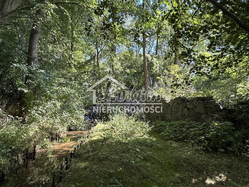 Działka rolna 2,92&nbsp;ha, Stawno - zdjęcie 4