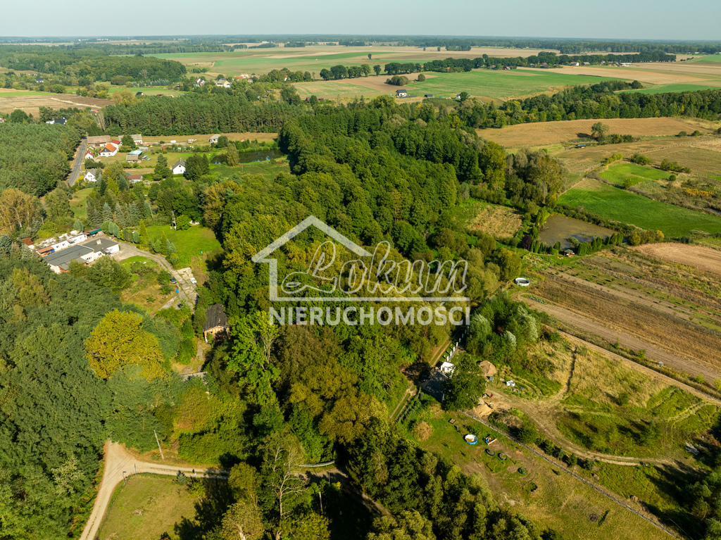 Działka rolna 2,92&nbsp;ha, Stawno - zdjęcie 11