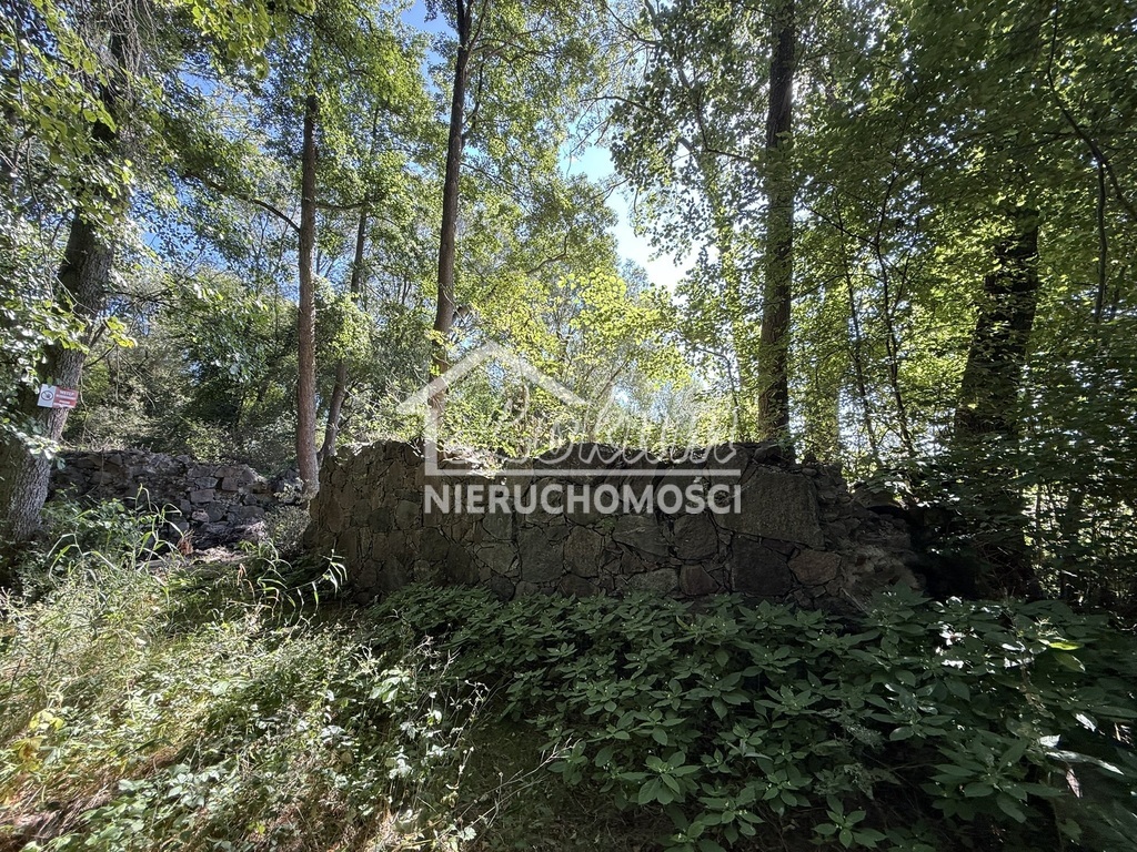 Działka rolna 2,92&nbsp;ha, Stawno - zdjęcie 3