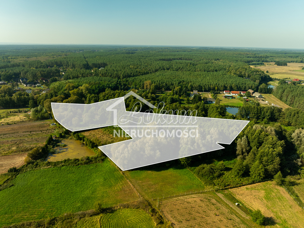Działka rolna 2,92&nbsp;ha, Stawno - zdjęcie 14